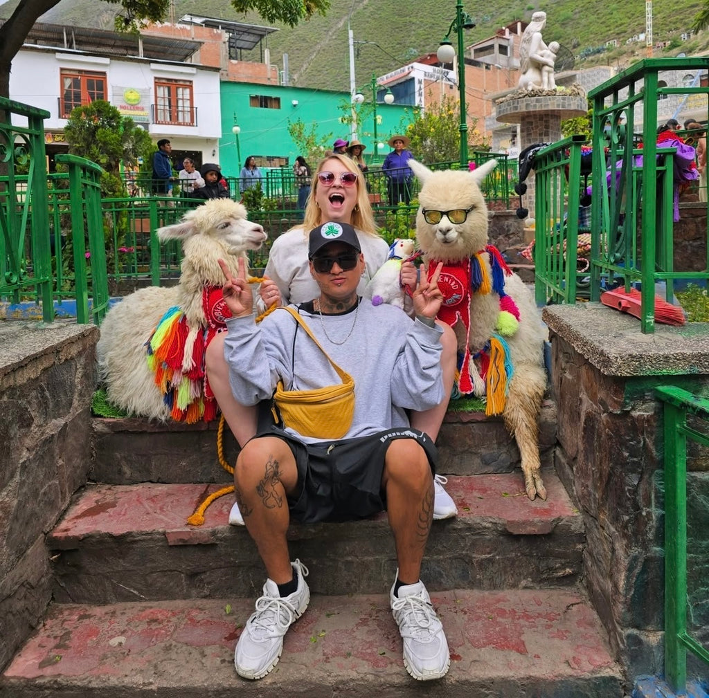 Nevado Raura Full Day